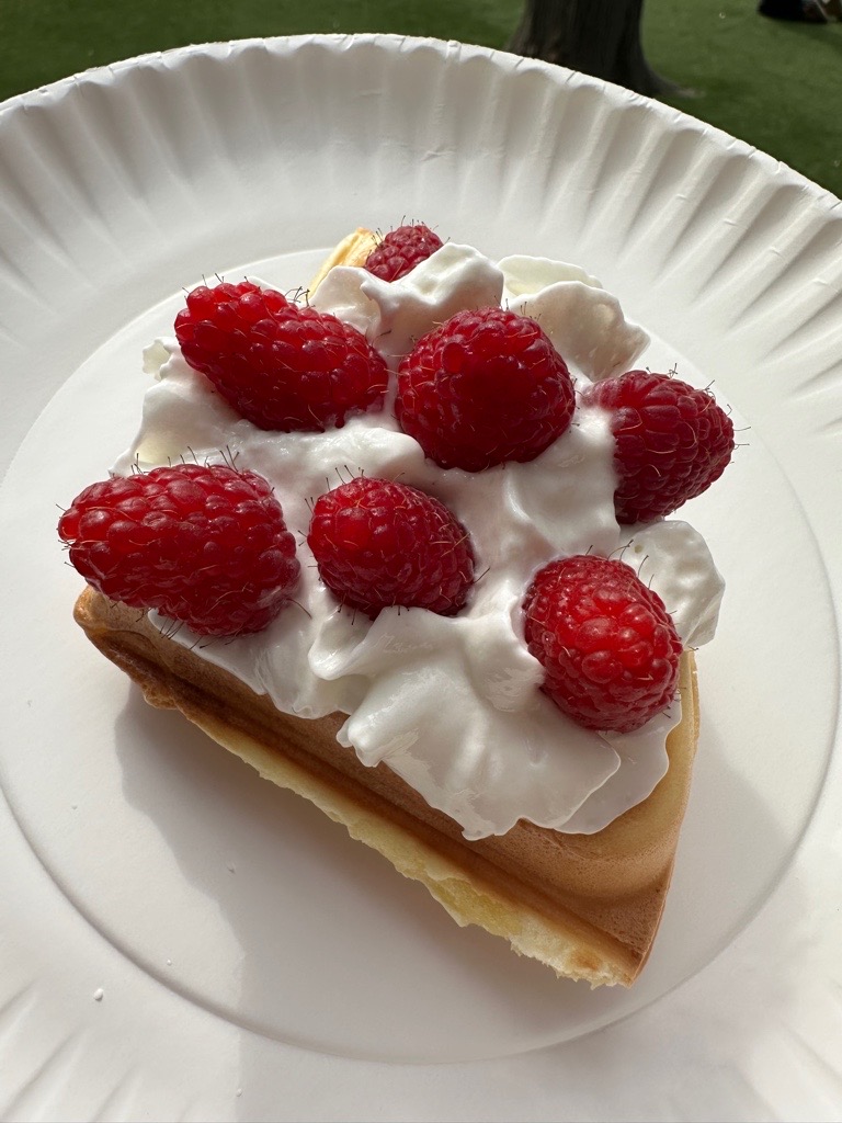 Międzynarodowy Dzień Gofra w Wyspie Dzieci River Grove.