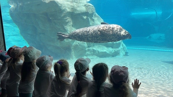 Wycieczka do Lincoln Zoo.